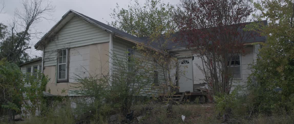 A dilapidated home surrounded by saplings and weeds