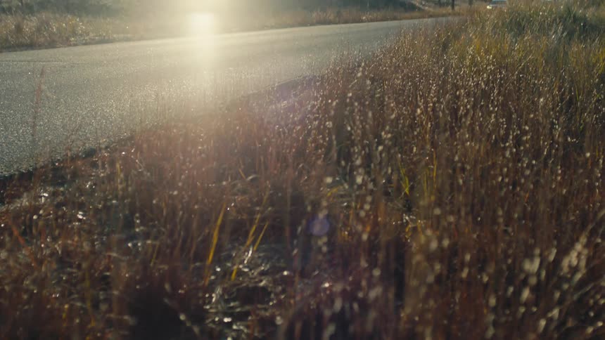 A black car drives along a country road that runs beside a brown field