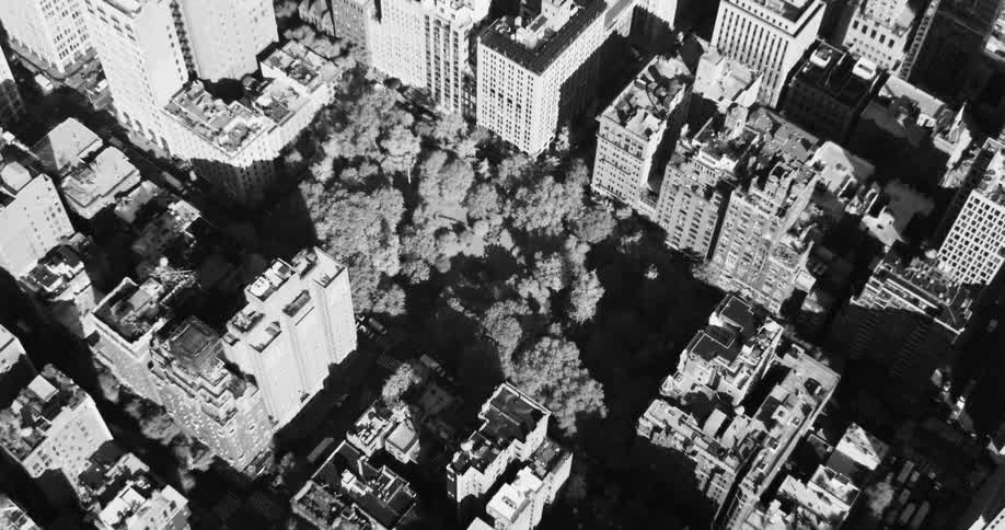 Aerial scene of a metropolis with large urban and commercial buildings