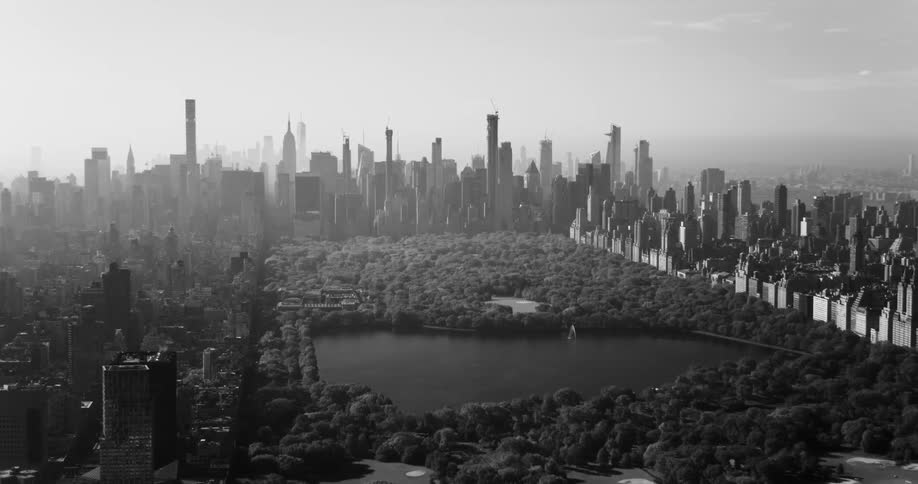 An aerial view of central park in downtown new york city