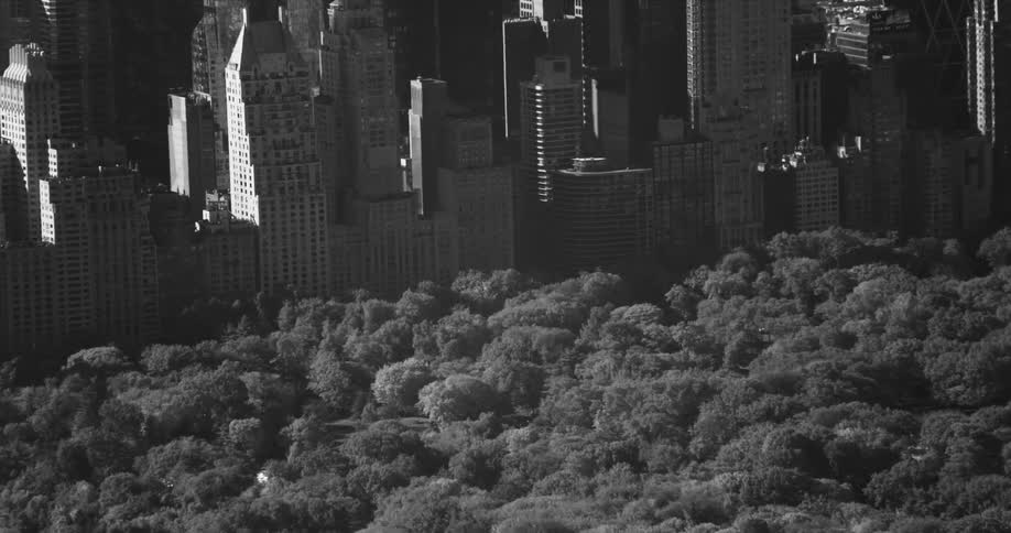 Aerial panorama of a forest park next to a metropolis with a skyscraper