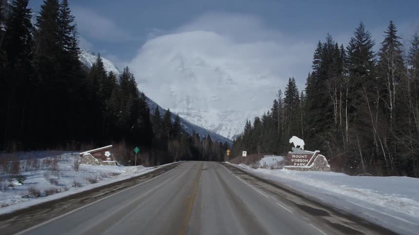 A snowy road across a park forest