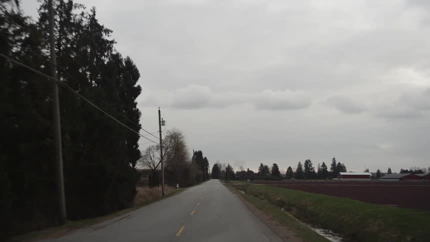 Driving tree lined rural road cloudy day