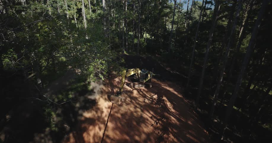 Excavator working in a forest
