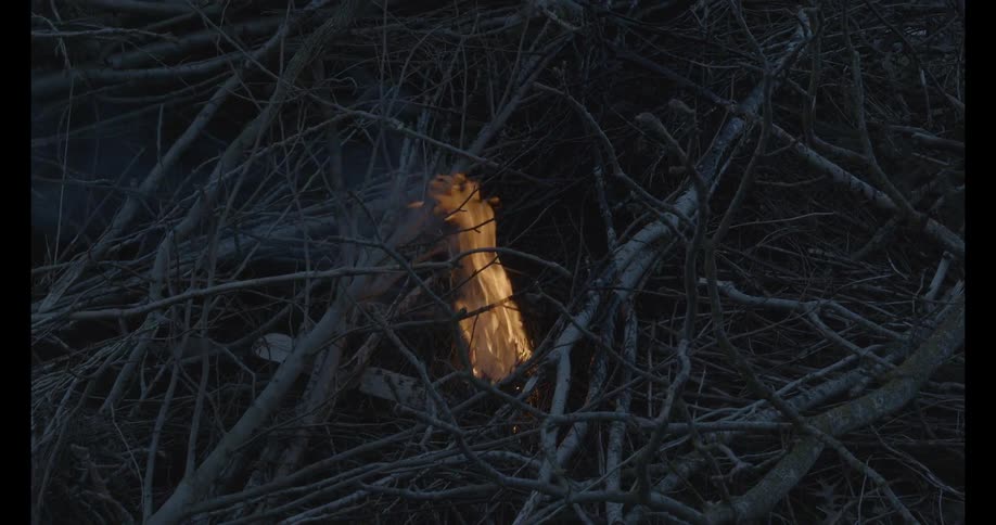 A fire starts to burn in a pile of branches