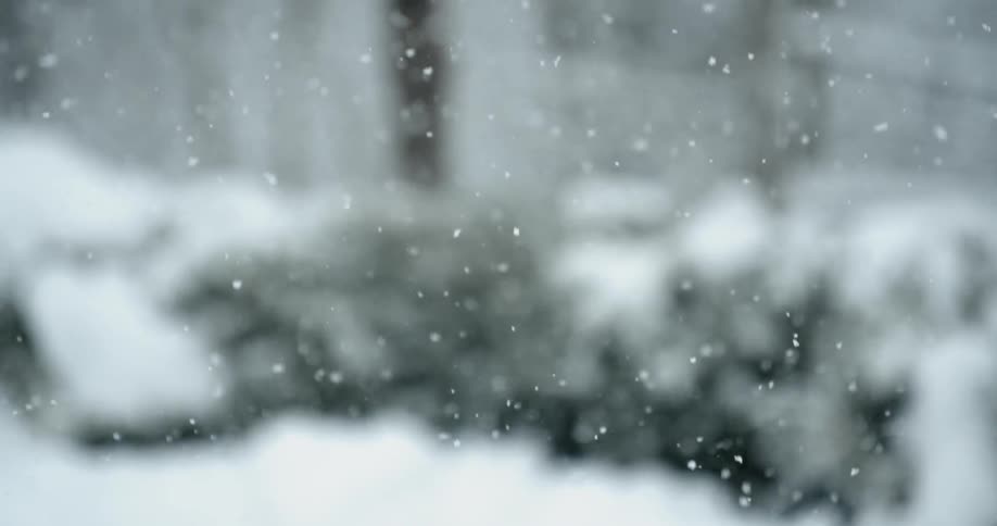 Snow gently falling before the snowy background