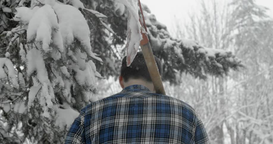 A man walks with a shovel on a snowy day