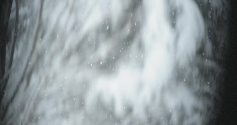 Snow falls in the forest