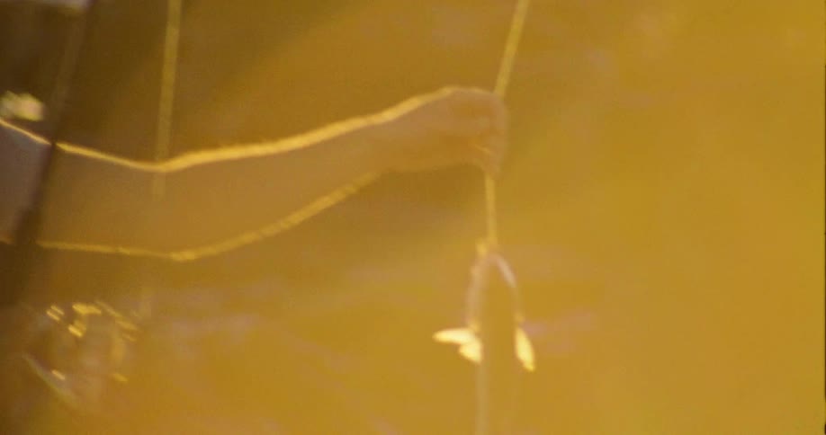 A man catches a fish in the river