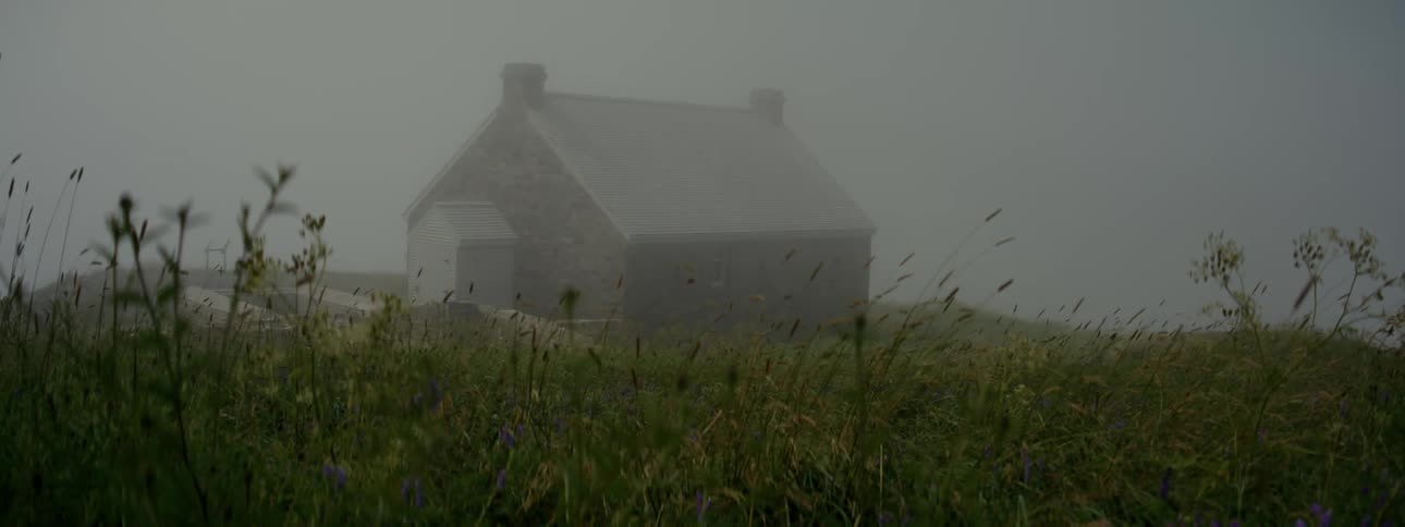 Isolated house shrouded in fog with greenery around