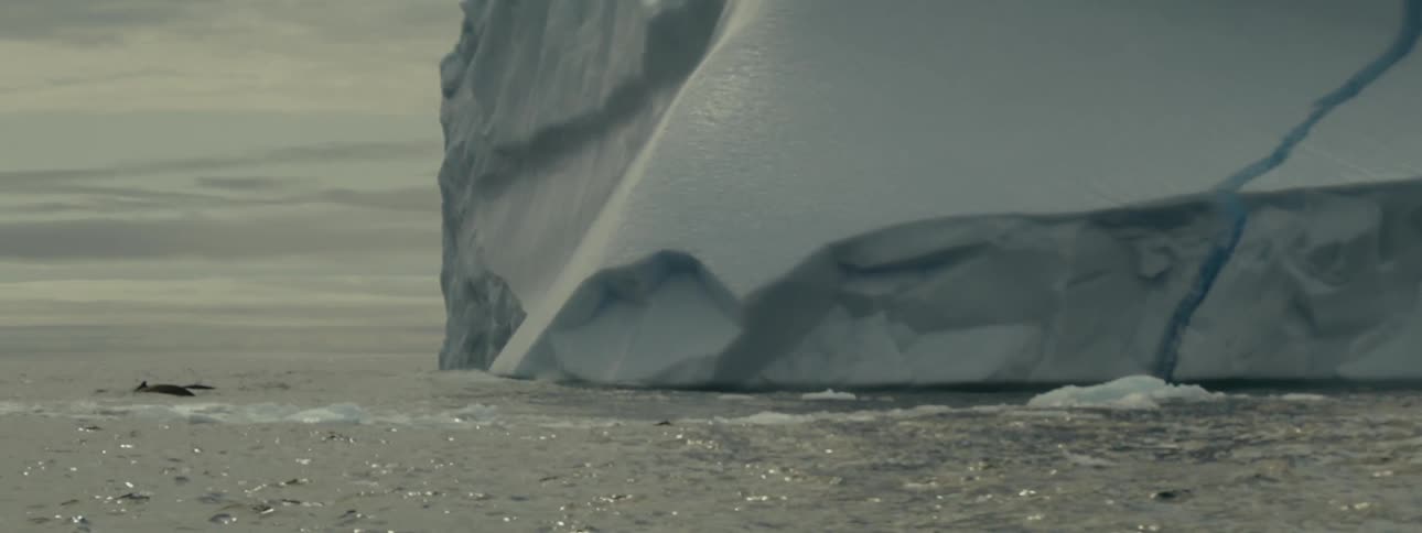 Huge iceberg in an ocean