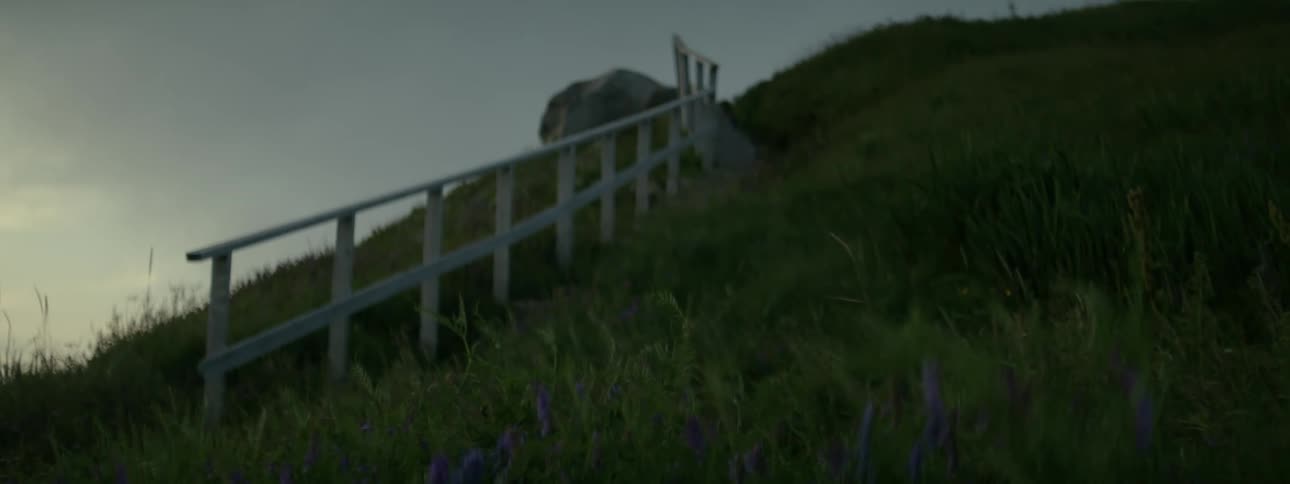 A wooden staircase with a white railing leads up a grassy hill at evening