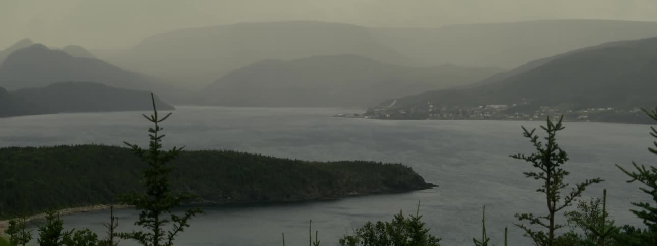 Landscape of a greenish peninsula by the sea