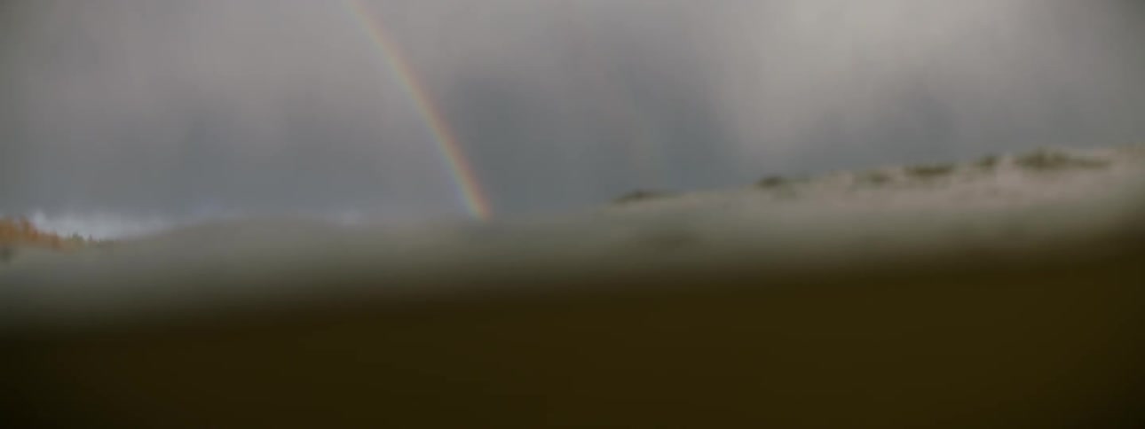 Surfers floating in the ocean are looking back at a rainbow