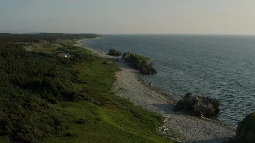 A rocky beach near a forest