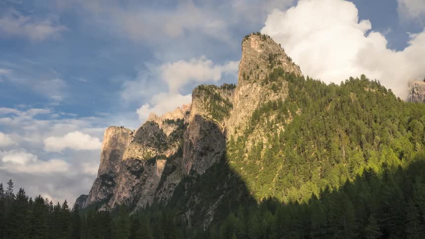 Coniferous forest around a rocky mountain