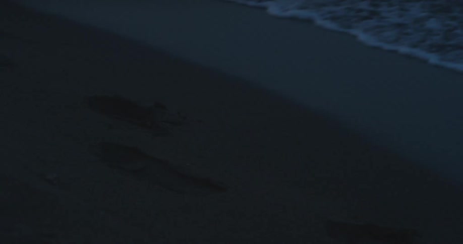 Water from the beach reaching the edge of the sand