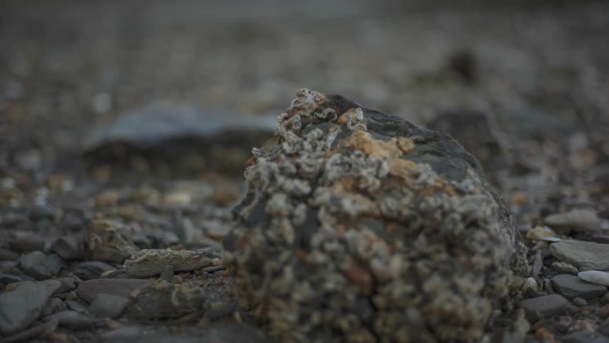 Stones on a ground with fading sunlight reflection