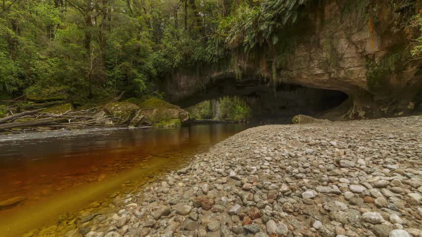 A stream flows out of a giant cave in a forested area