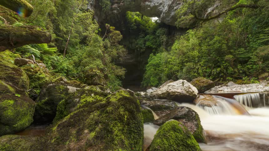 Creek flowing through a mossy rocky bed