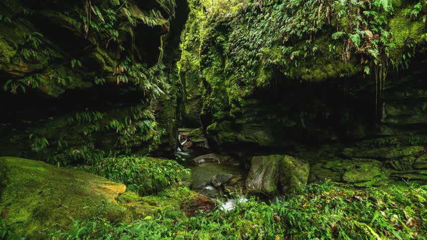 A stream runs over rocks and into a pond in a forest