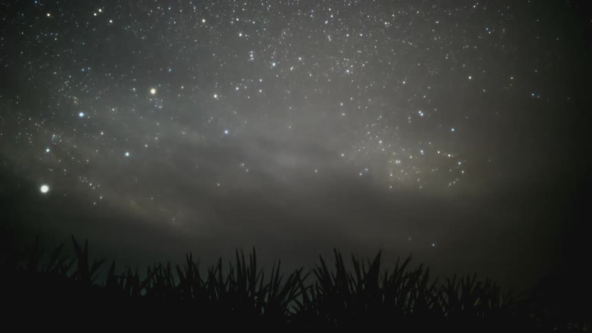 Starry night sky with grass silhouette in the foreground and clouds darkening the night
