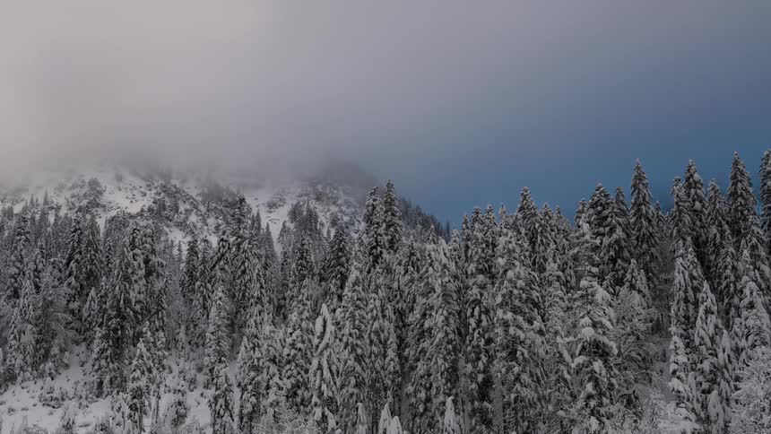 Low lying clouds flow across a snowy mountain and over an ice frosted conifer forest during a winter day