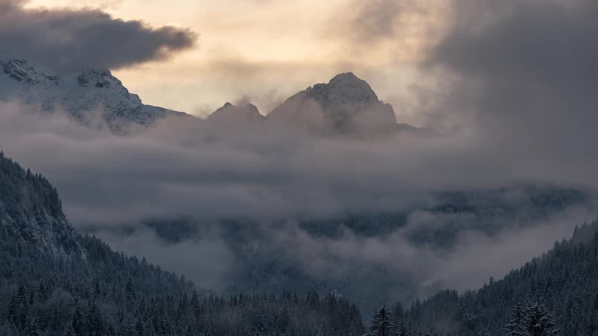 Clouds cover the mountains and forest