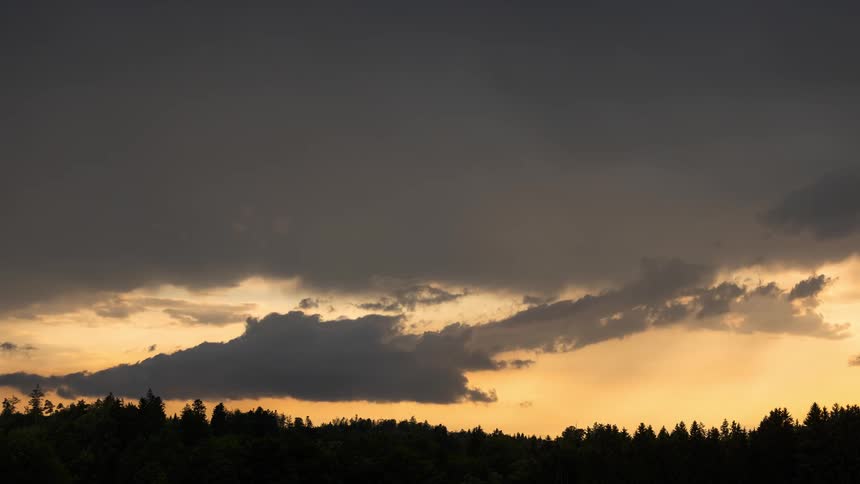 Gray clouds moving in the orange sky and there are several trees at the bottom