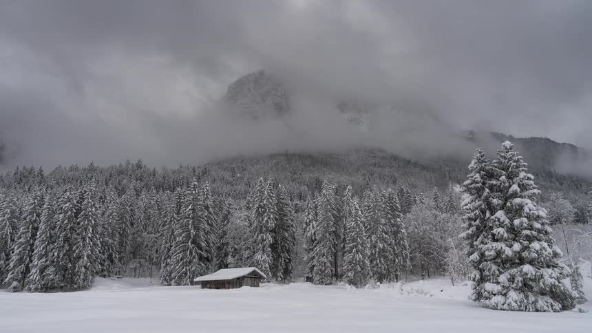 Snowy mountain range surrounded by conifers in a small isolated log cabin