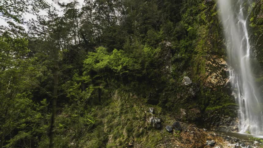Tall narrow waterfall that cascades down a rocky cliff flanked by dense lush vegetation