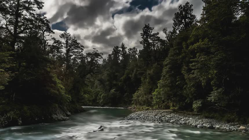 River surrounded by forest at dusk