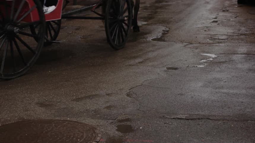 A horse pulls a carriage down a path