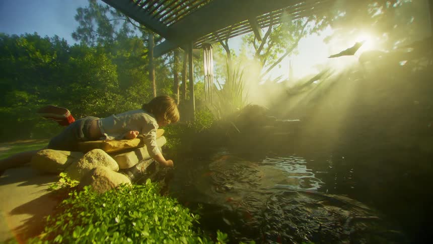 A little boy is lying down and placing his hand in a lake that has some fish in the backyard of a house and there is strong sunlight illuminating the environment