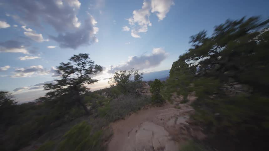 A dirt road with vegetation on the sides in a desert that at the end there is a slope of a mountain