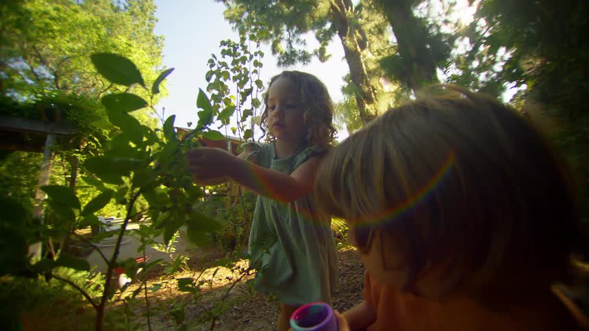 Two children in the backyard of a house picking leaves and plants
