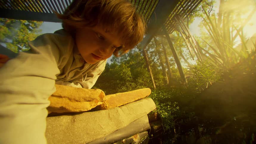 A little boy is looking at a lake in the backyard of a house and there is strong sunlight coming from the sky