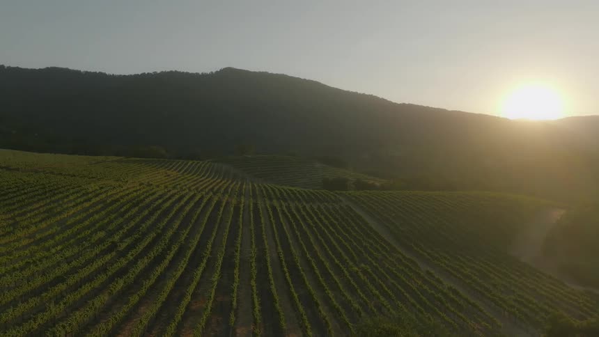 Aerial scene of an agricultural field with mountain silhouettes in the background and the sun on the horizon