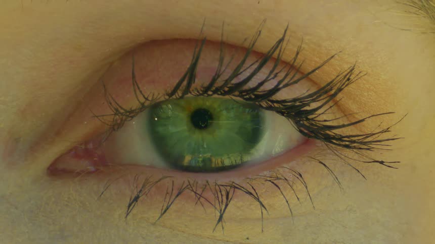 A close up of a womans eye and eyelashes