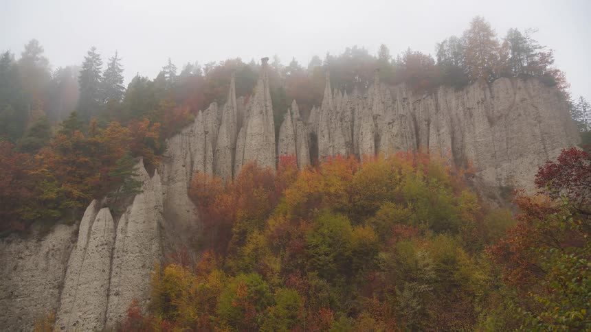 Deciduous trees with their fall foliage sit both at the top and at the base of a cliff on a foggy day