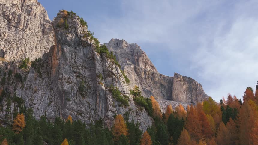 Mountainous rocks with conifers around