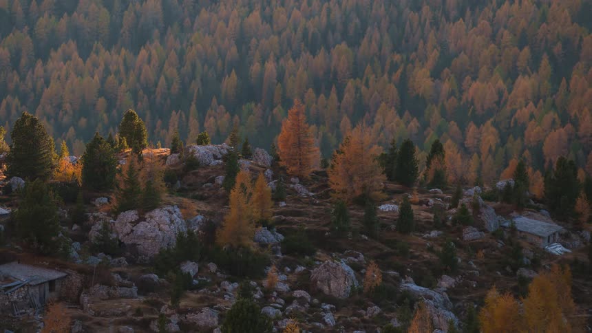 Mountainous landscape with coniferous forests and shadow covering sunlight