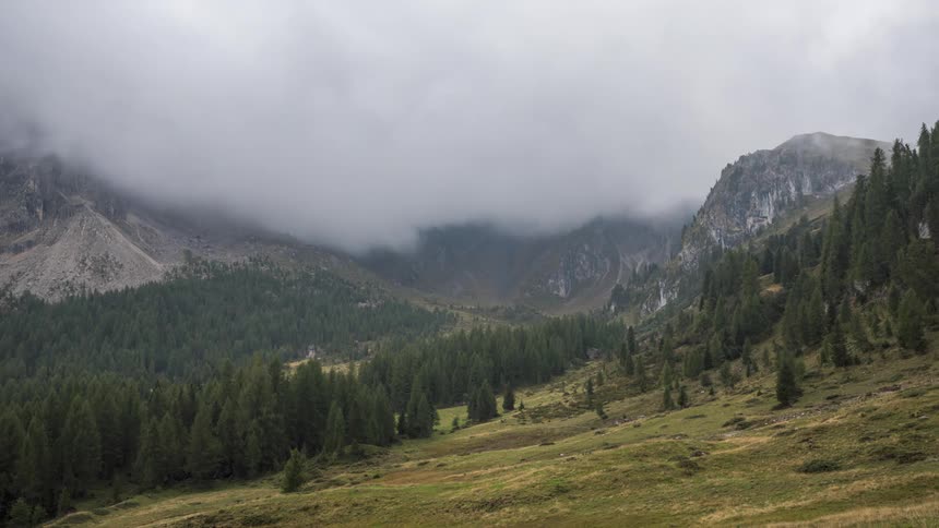 Mountainous landscape with conifers and dense clouds passing by
