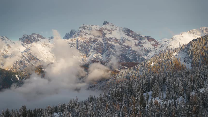 A snowcapped mountain range rising above a dense evergreen forest