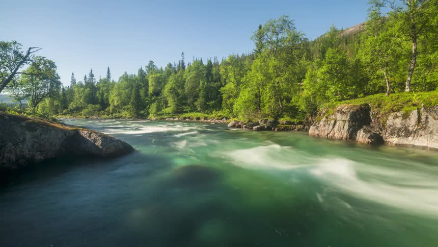 A calm river winds its way through a lush green forest