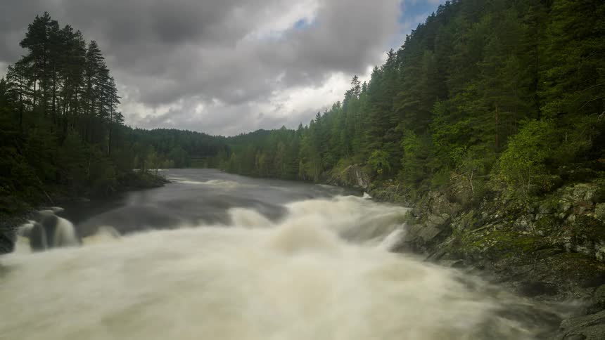 River flowing through a forest on a cloudy day