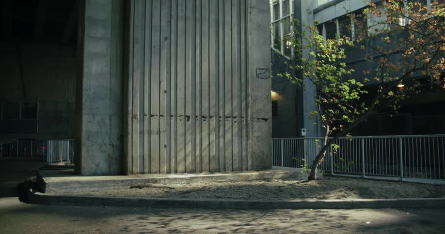 Flowerbed surrounded by railings contrasting with the concrete urban landscape and buildings in the background