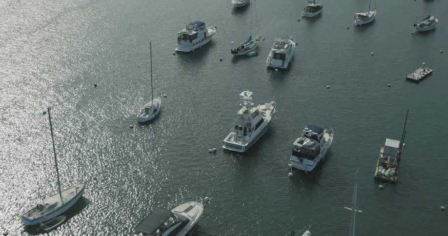 Boats lined up in a marina near a coastal city
