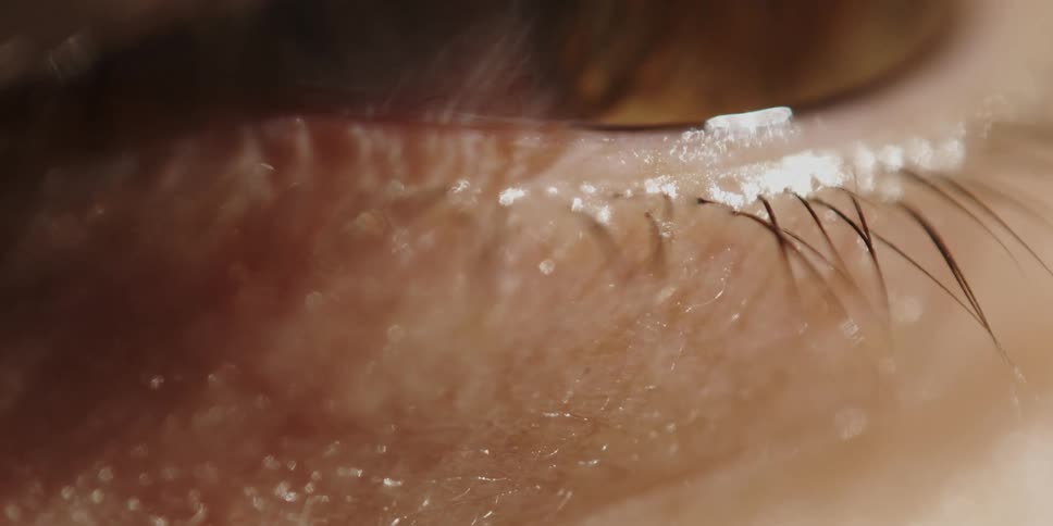 Close up of the eyelashes on the eye of a person