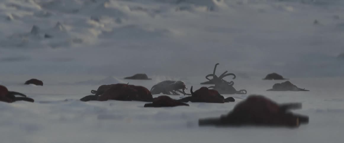 Abstract animals on an icy surface